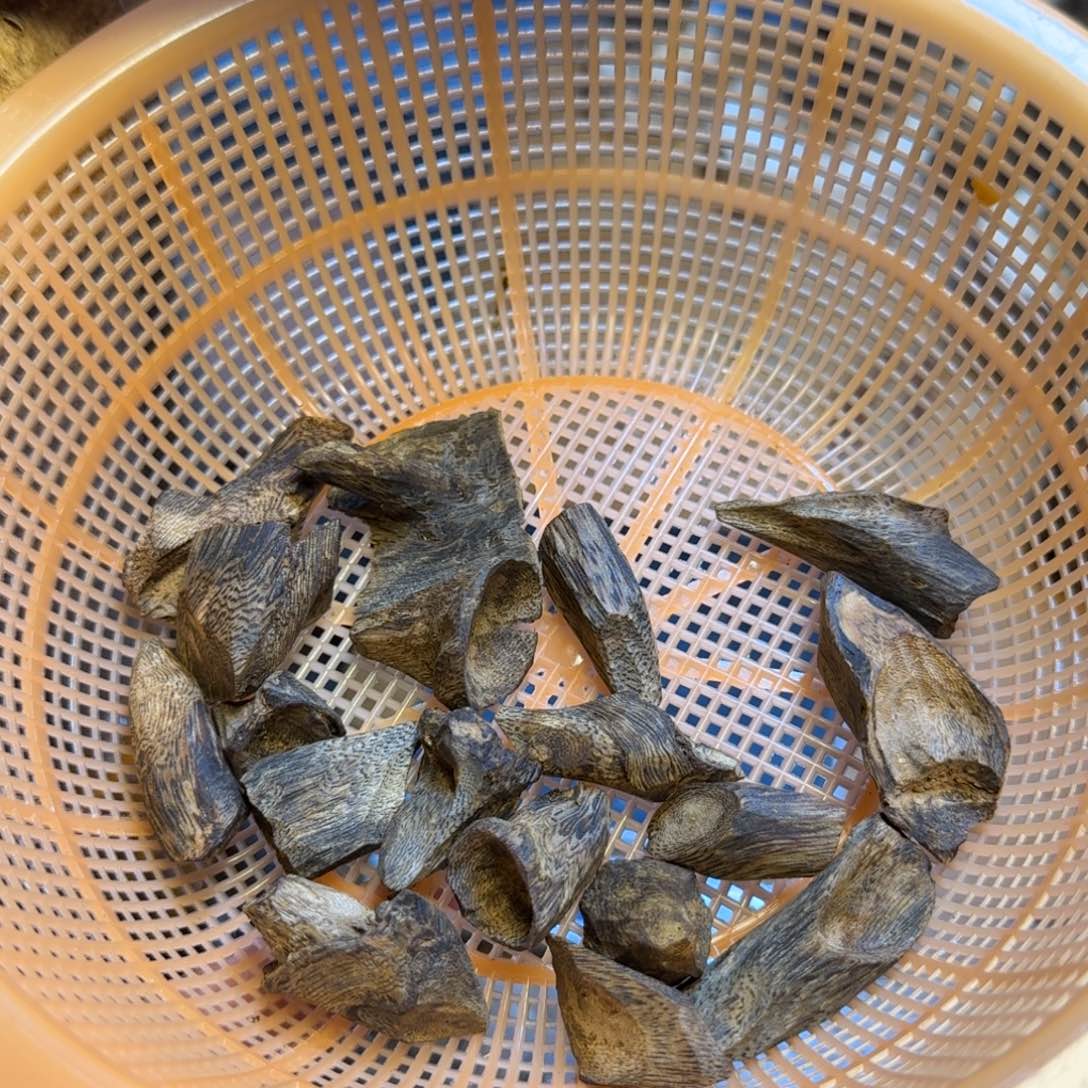 皮***鲁沉香块料沉香块料树丁29克