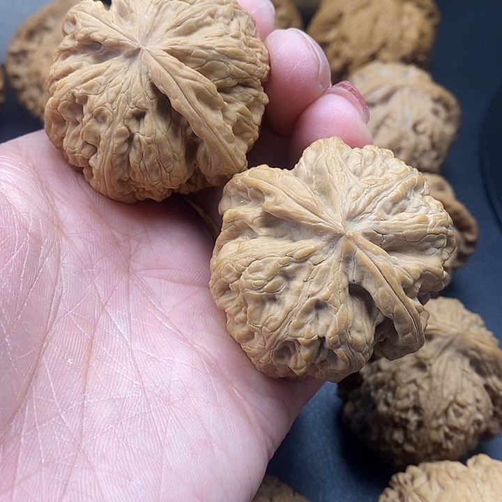 龙脊菩提吊坠粗筋46