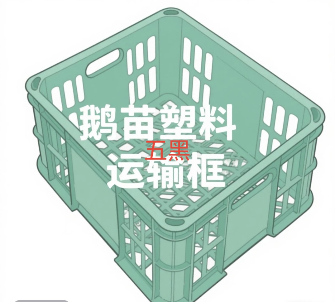 五黑绿色多蛋款室内外