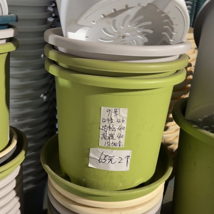 四季9#口径46无托果绿2个