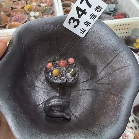 瓷片柴烧柴烧柴烧347