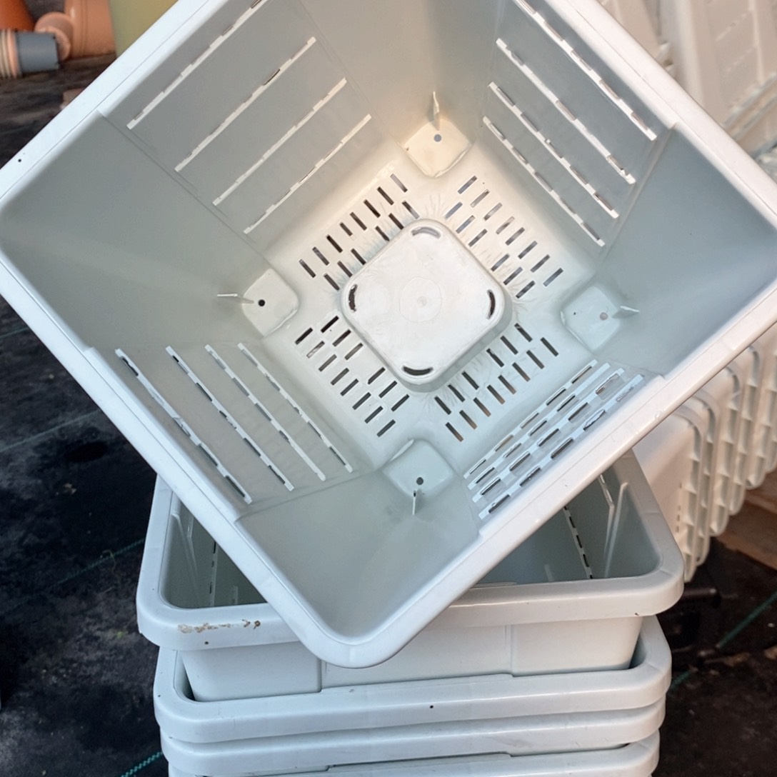 6个22口奶白方落灰无托伊特（22×24）