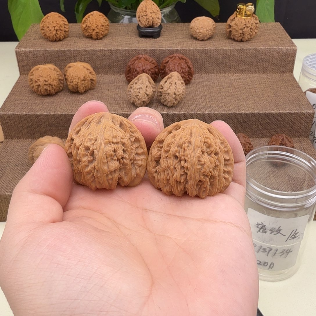 陈***事全品密纹38/37/34