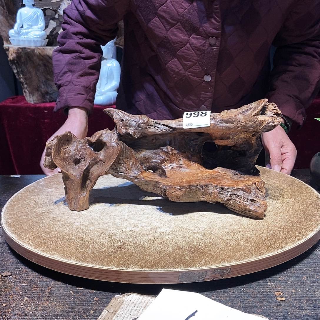 童***忌998。株木随行根艺