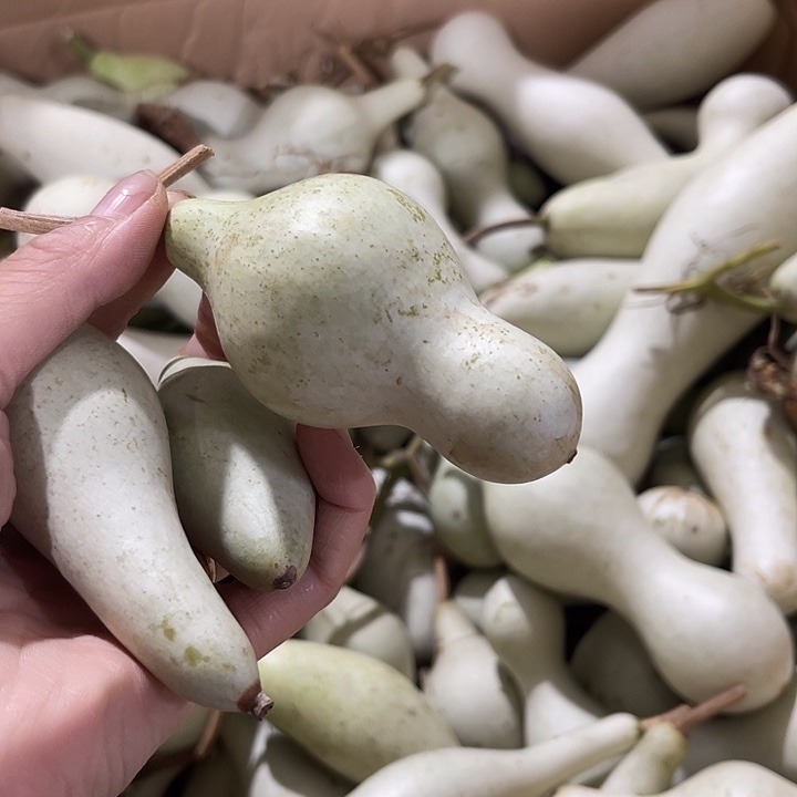 大果紫檀（缅甸花梨）雅****室