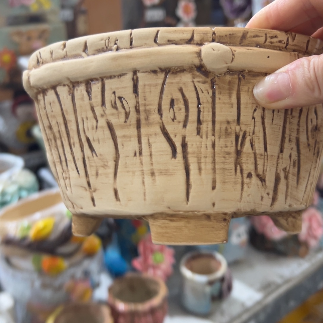 爱退拉黑多肉满20发货