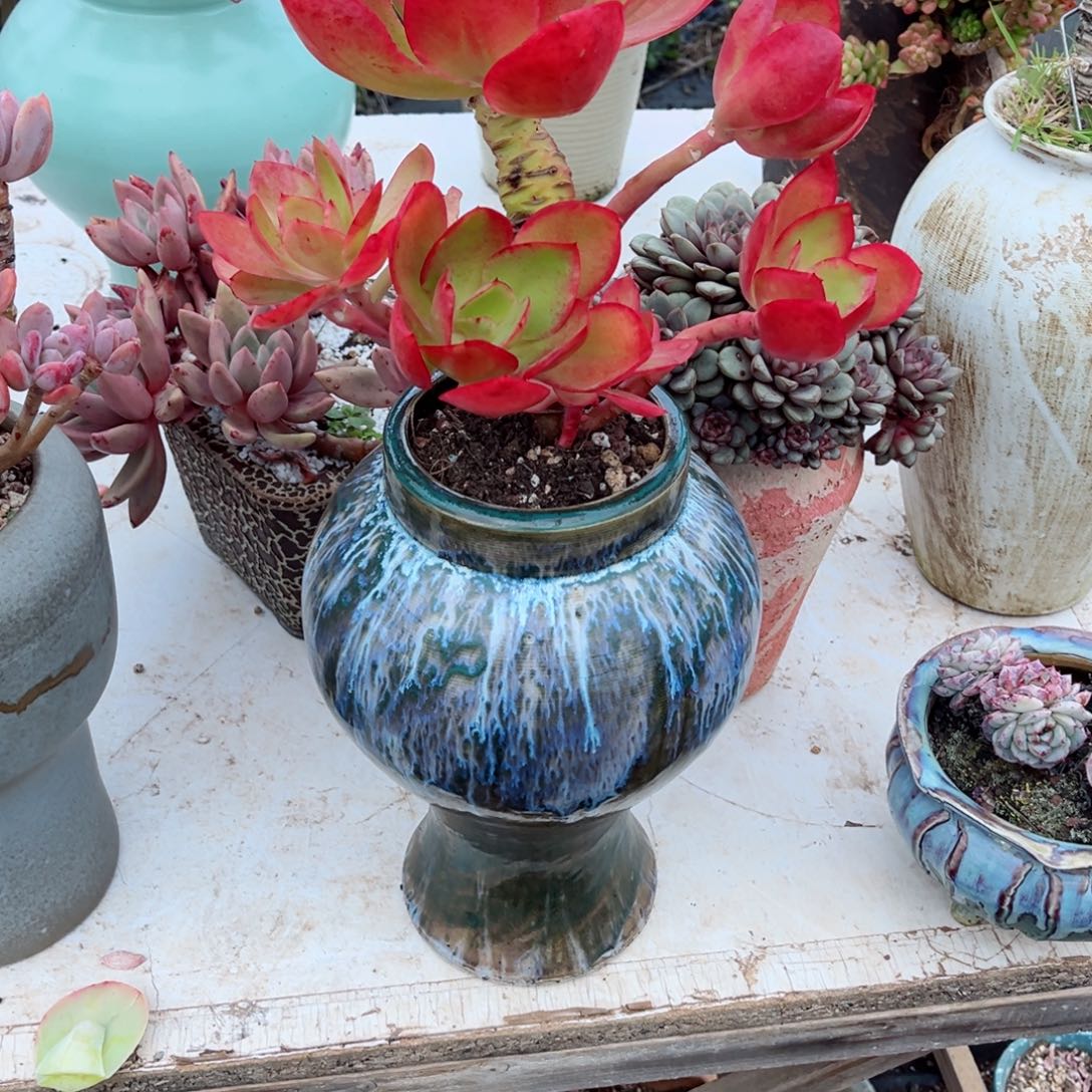 在这样下去你要怎么做