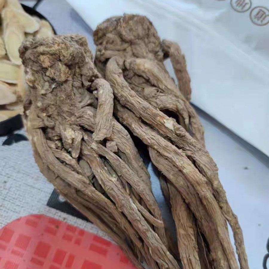 甘肃岷县大条当归煲汤泡酒滋补养生，