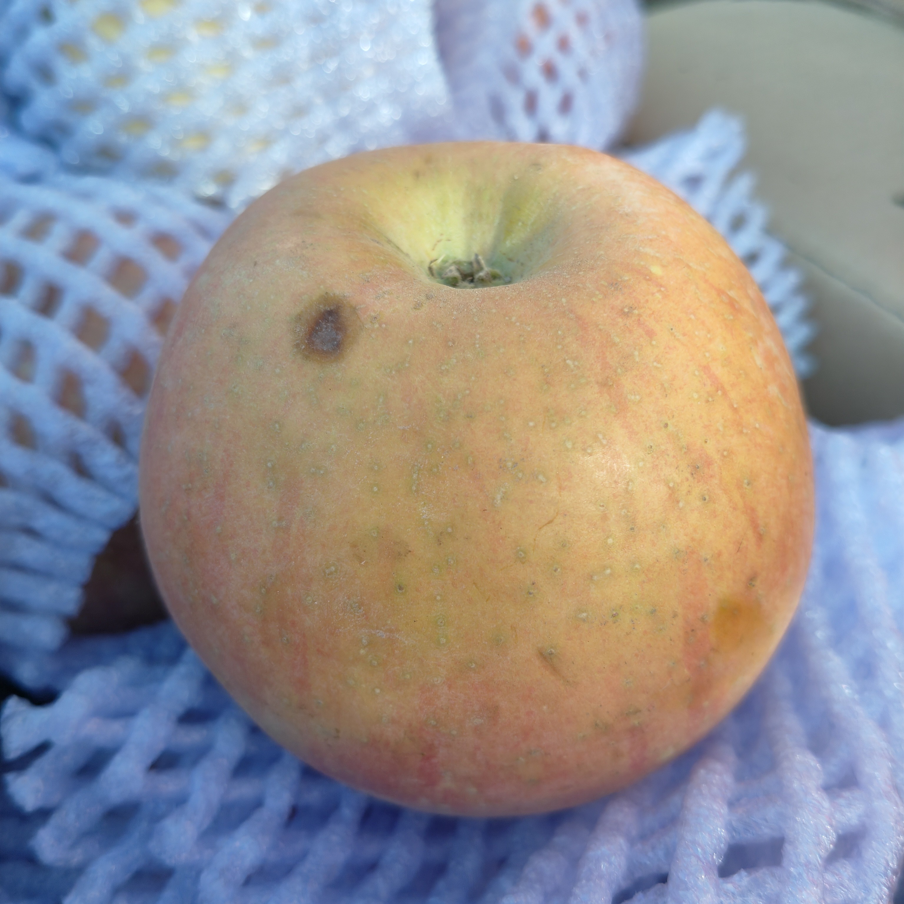 新鲜采摘冰糖心丑苹果红富士苹果脆甜多汁皮薄肉厚