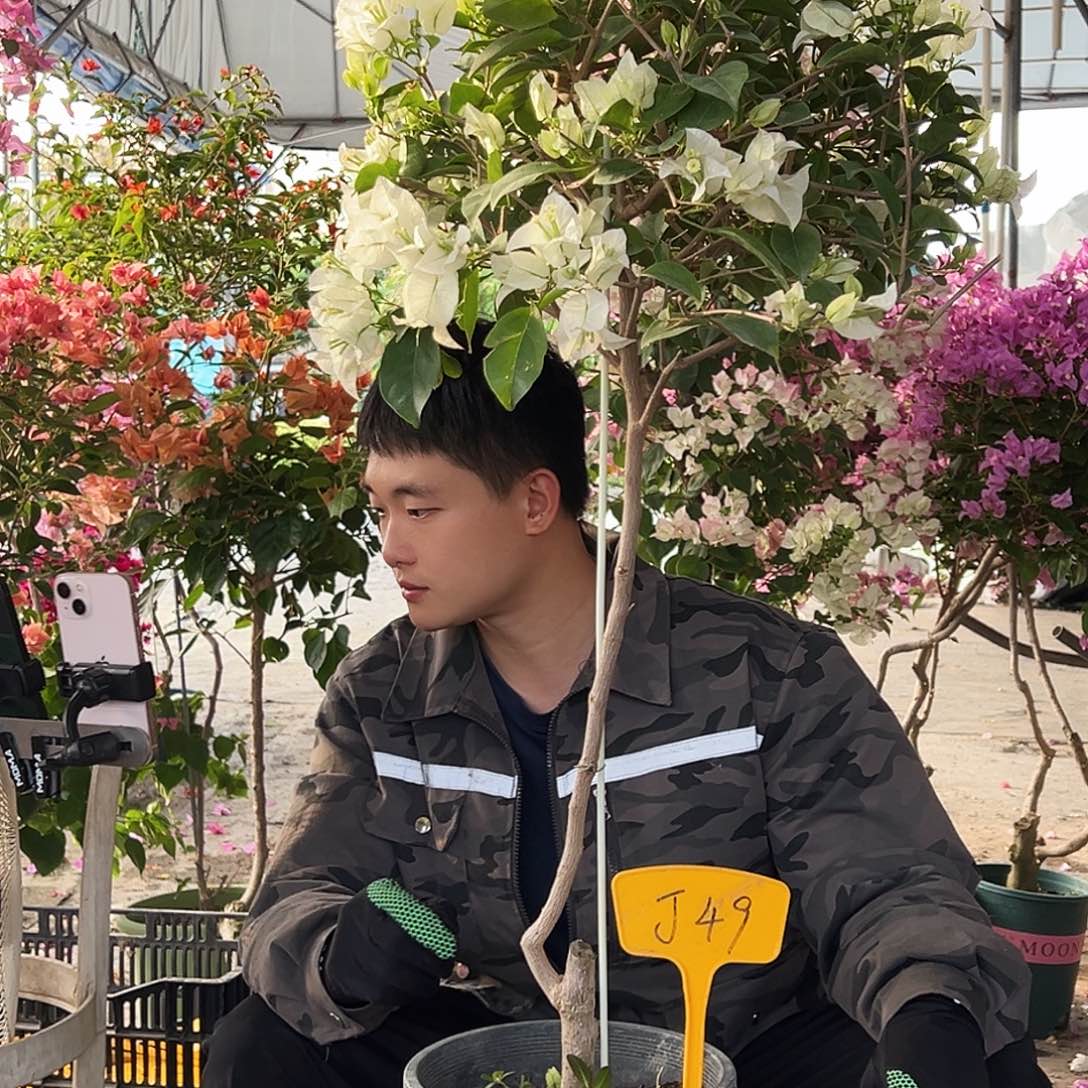 阜***商大部分花苞少量开放J49白雪