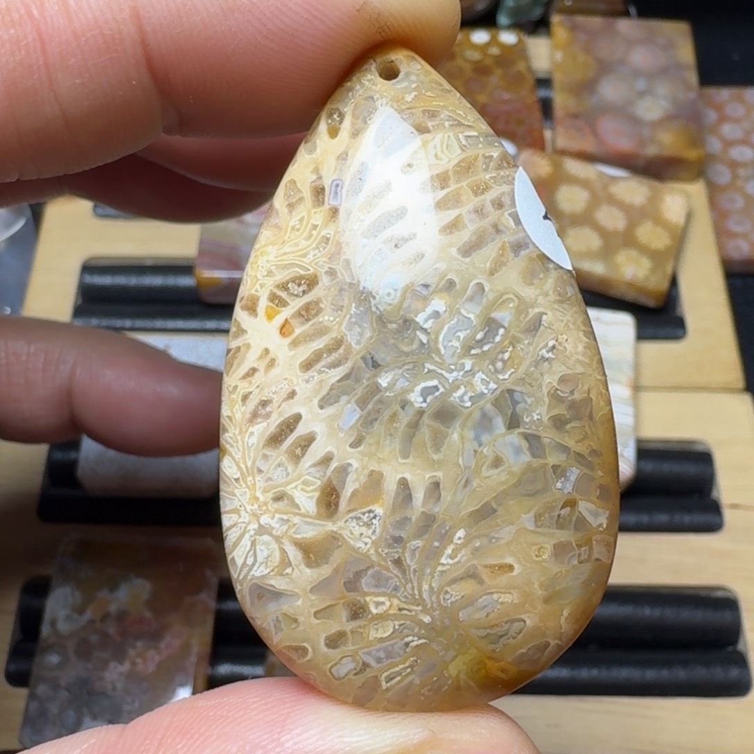 硅化珊瑚（珊瑚玉）纯天然色有机玉石未镶嵌