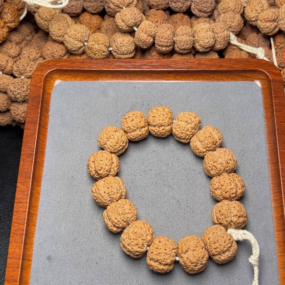 12号尼泊尔大金刚22五星梅花五龙梁