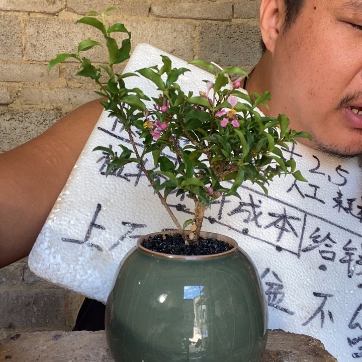 退款拉黑一物一拍66
