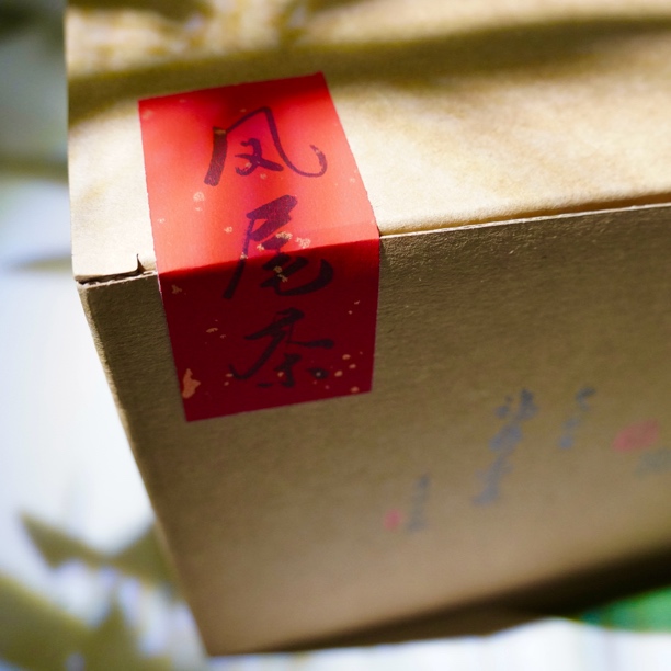 2025年荒山老树扫把茶果香果甜香醇福鼎白茶春寿眉凤尾茶龙须茶