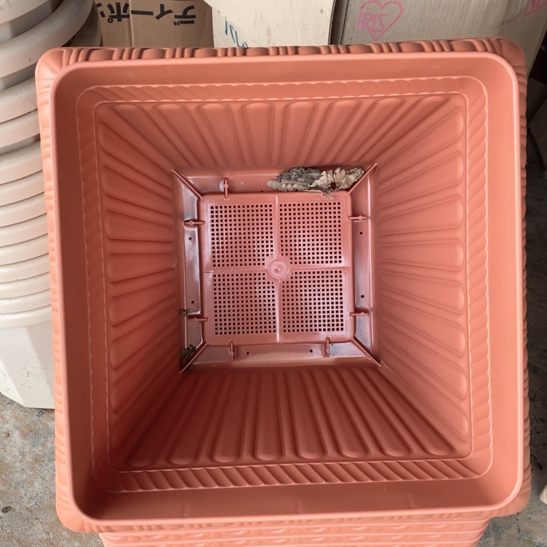 2个爱丽丝460茶色方盆无托