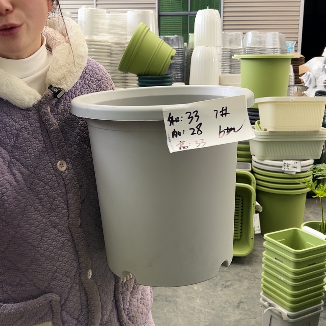 四季盆7#灰白6个无托