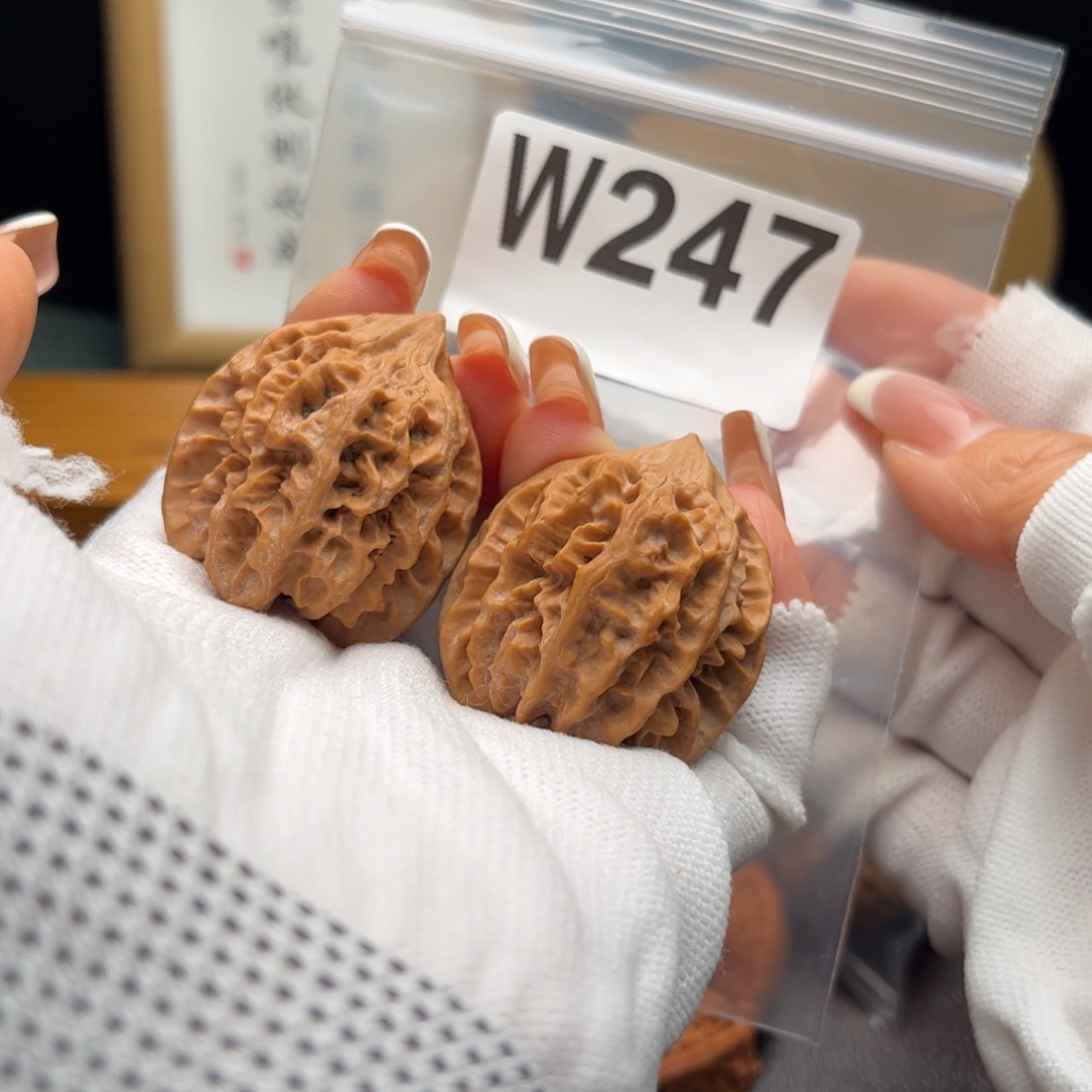 文玩核桃把件34大龙w 247