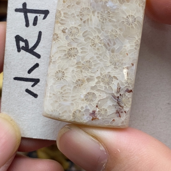 硅化珊瑚（珊瑚玉）未镶嵌颈饰