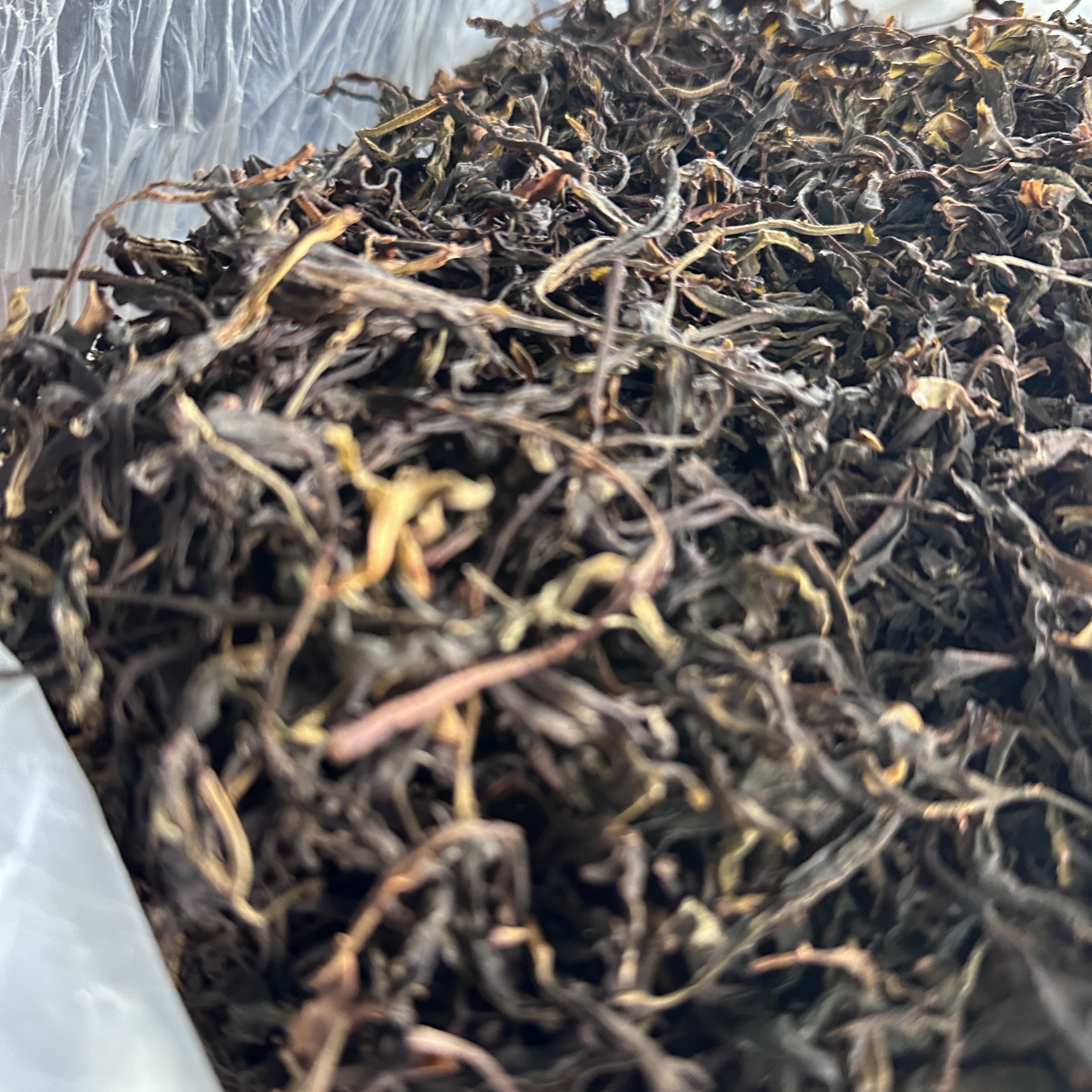 【2023年本山古树 · 5号茶农刘斌】2023年 ·  生茶散茶