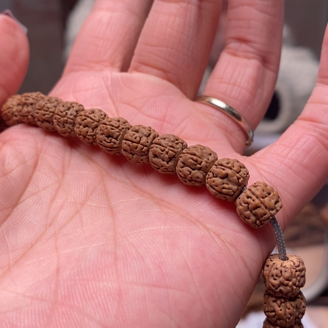 猫***狗菩提籽类藏切盘龙