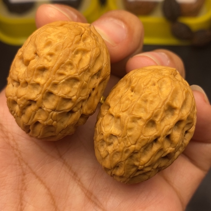 文玩核桃吊坠35尺龙甲