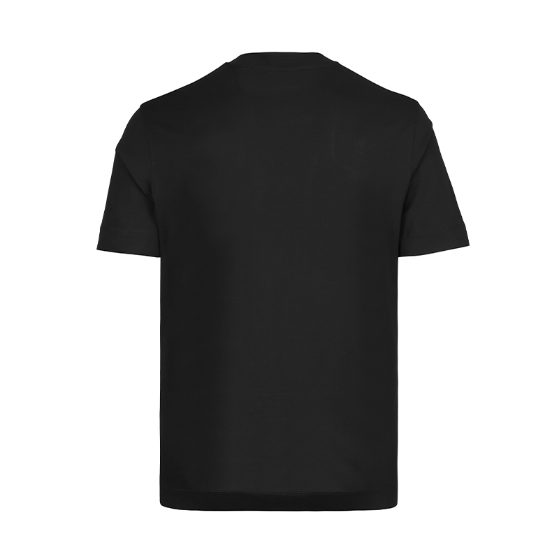 Emporio Armani/安普里奥·阿玛尼老鹰短袖休闲老钱T恤两色12340