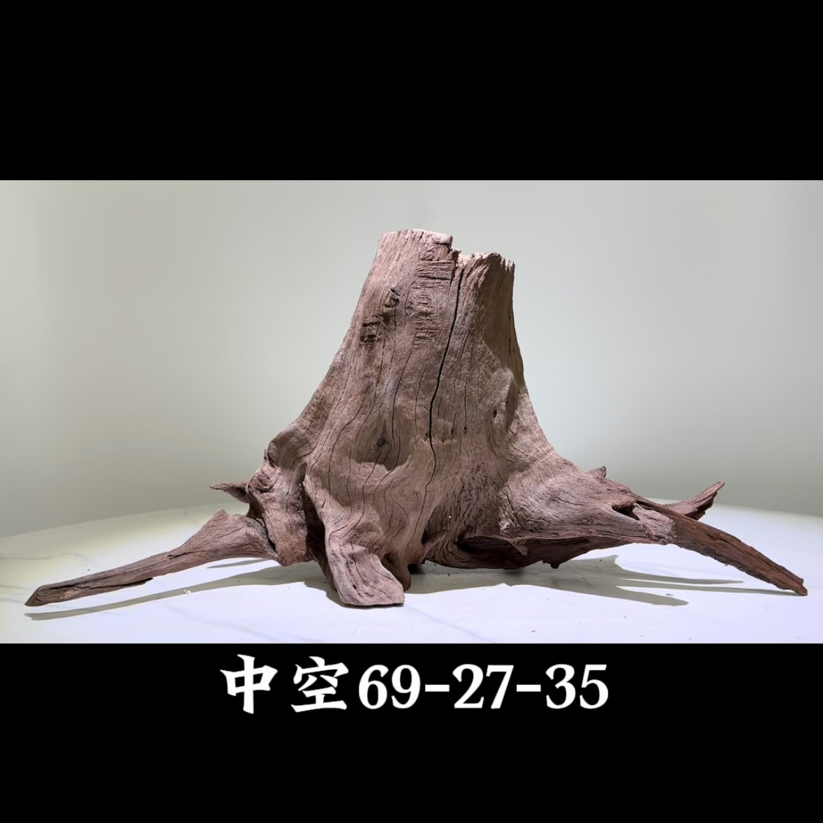 紫柚木沉木鱼缸造景镂空树皮南美树桩拱桥