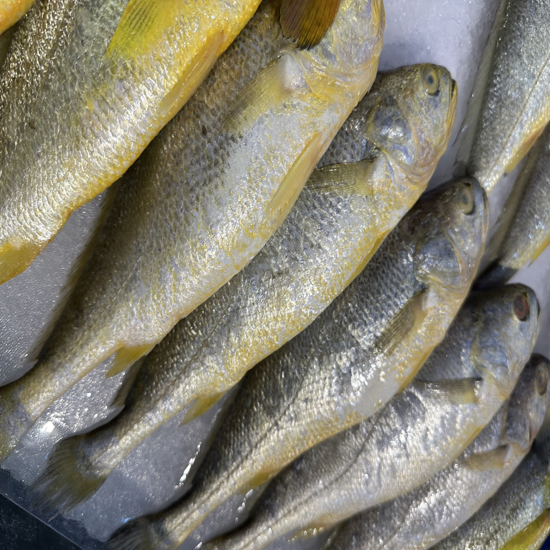 冰鲜小黄鱼约500g