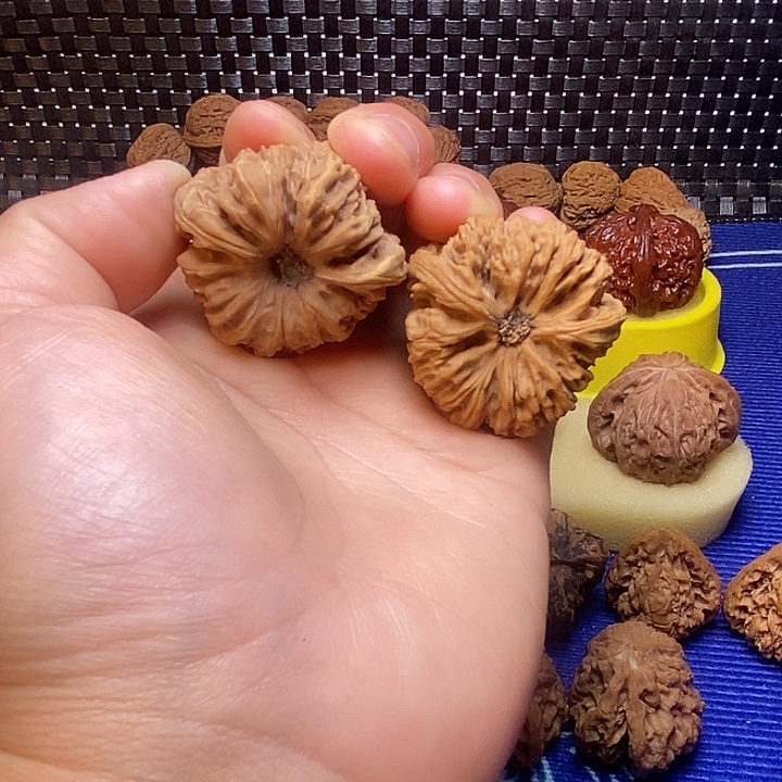 b***2福利多多南疆石的