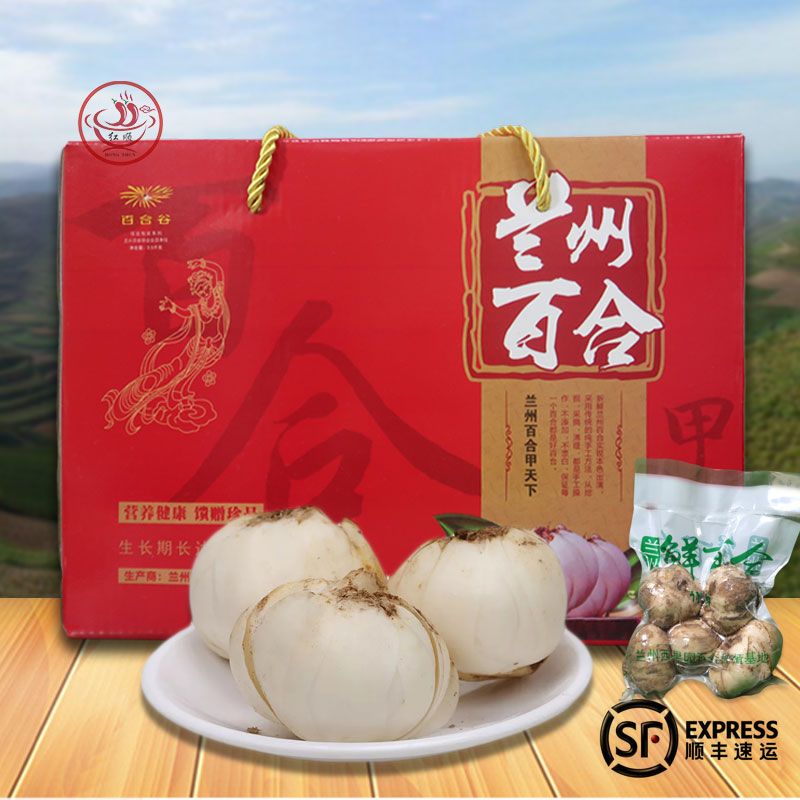 兰州食用鲜百合西果园农家特产新鲜肉厚生吃脆甜熟吃软糯甜百合