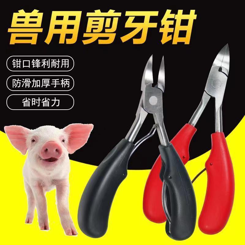 小猪兔子不锈钢剪牙兽用断牙牙齿猪用剪齿仔猪养殖养猪器械设备