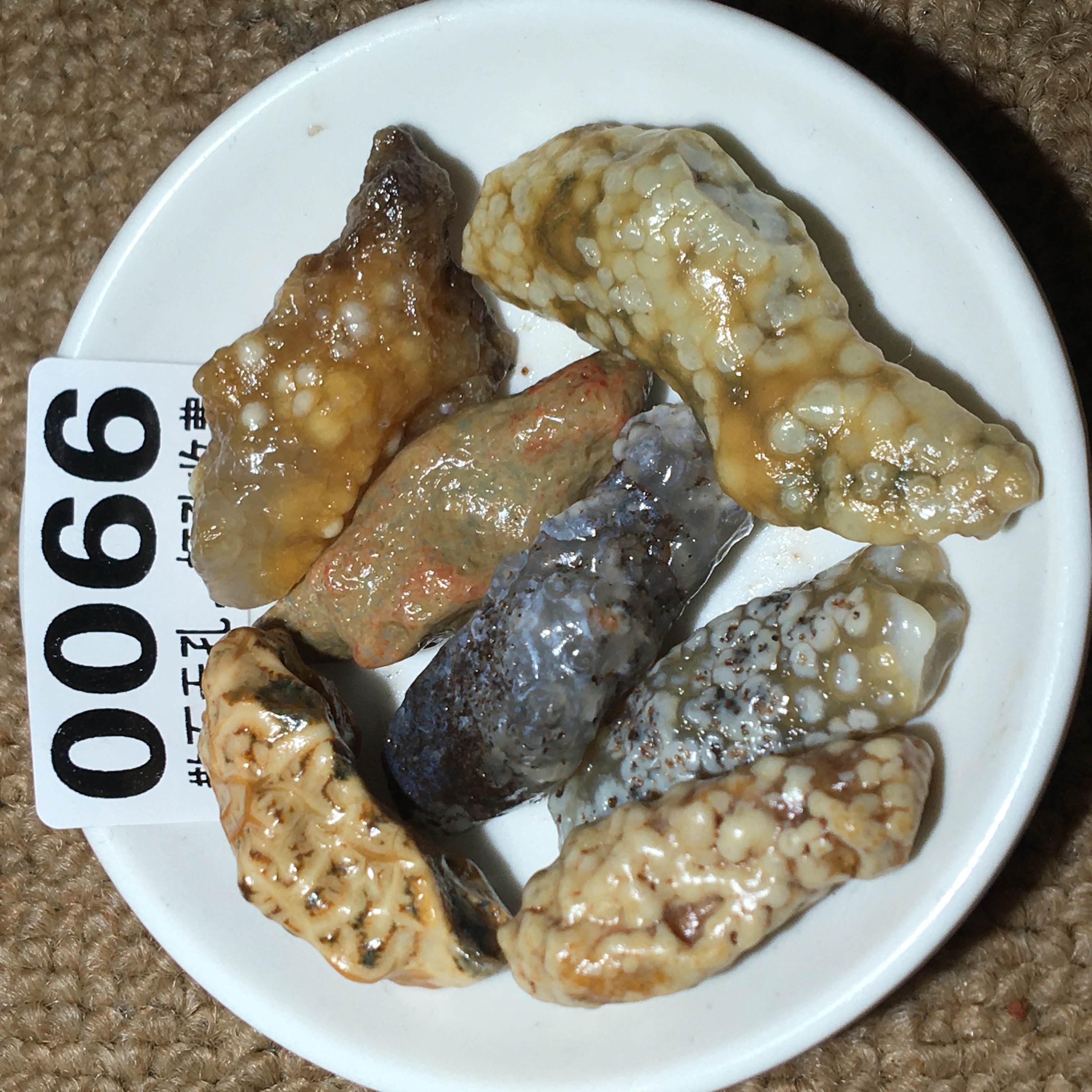 0066-0075筋脉石阿拉善原石戈壁石diy鱼缸石盆栽石