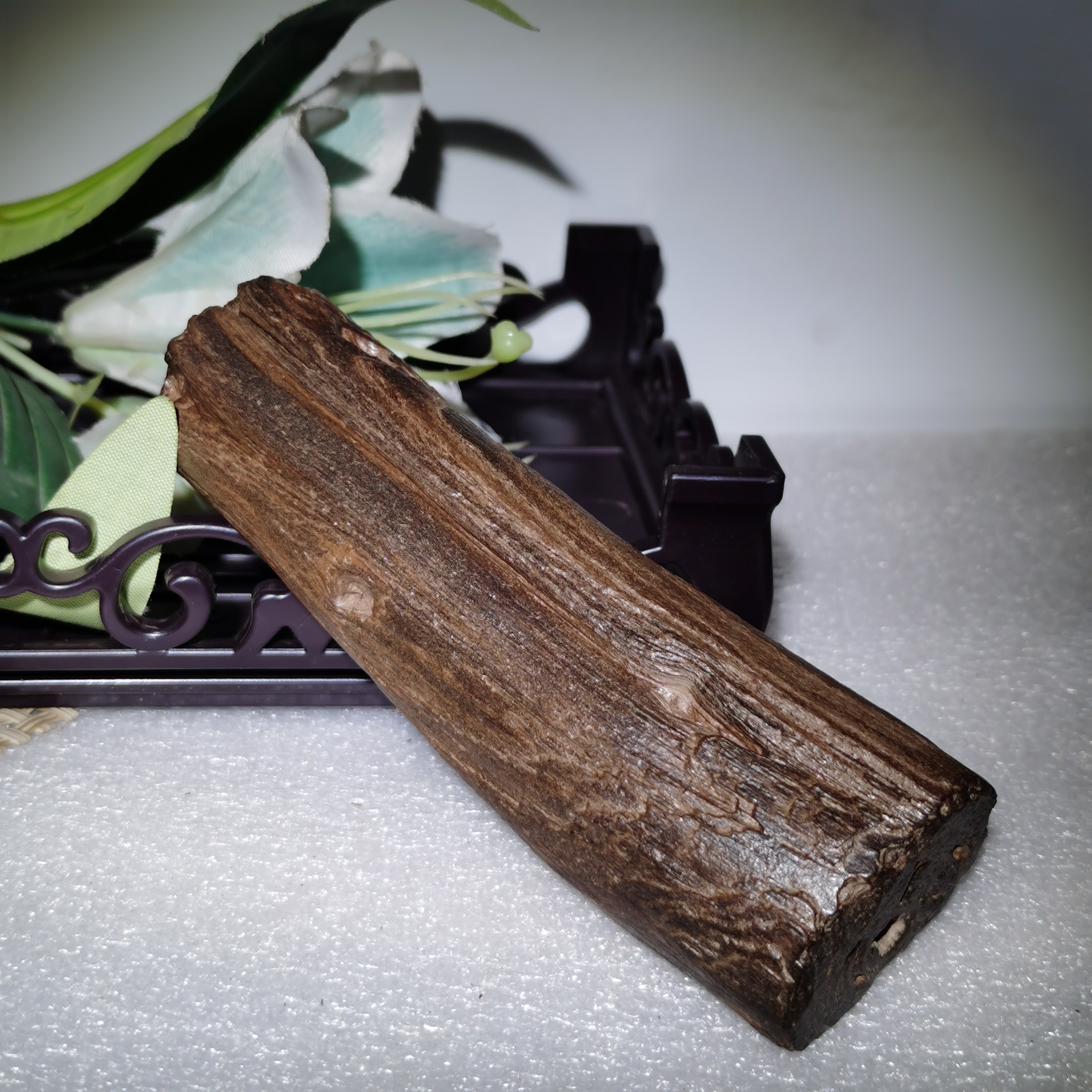 精品戈壁树木化石手把小横财摆件…带原皮多树结圆润饱满长10公分