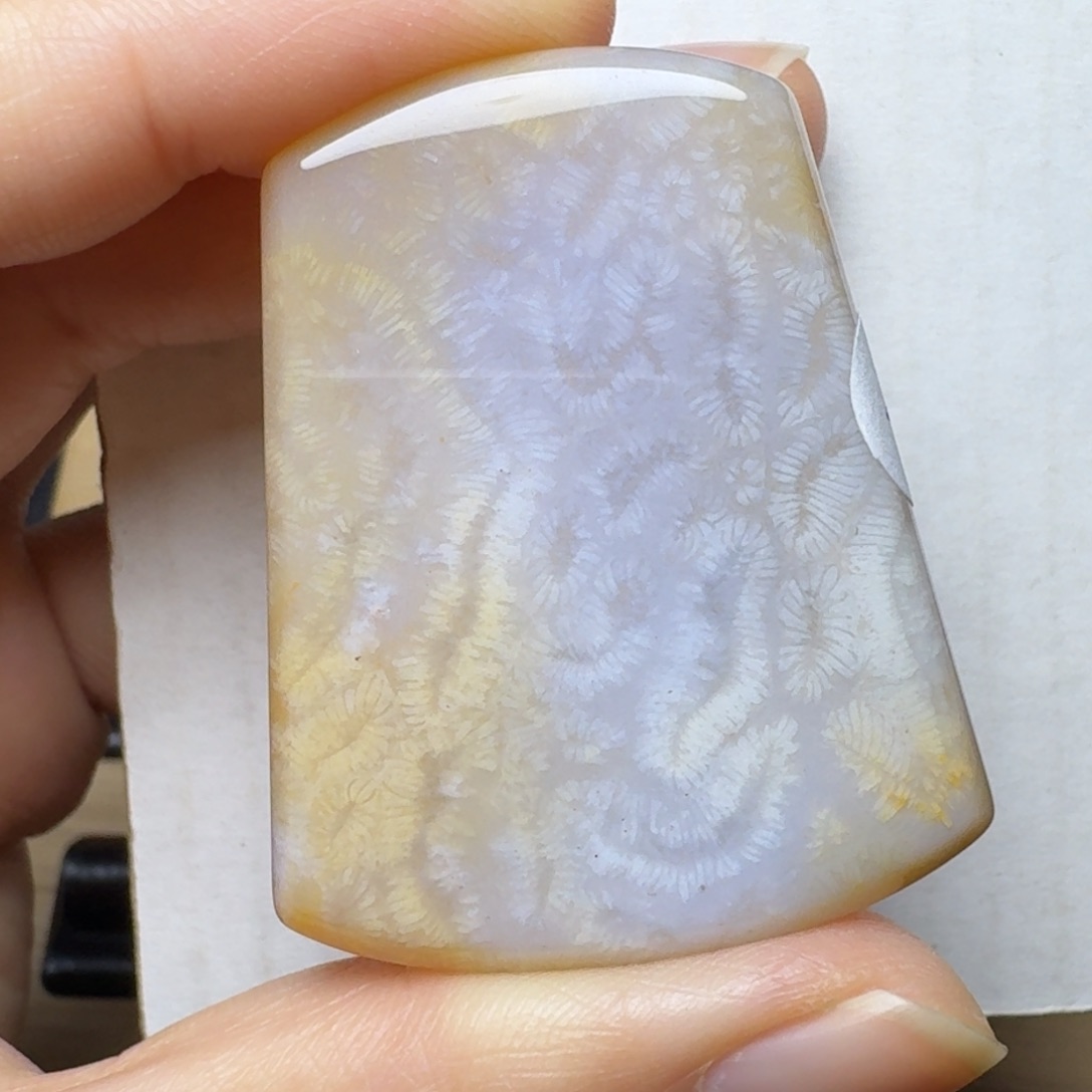 硅化玉黄灰白虫纹未镶嵌