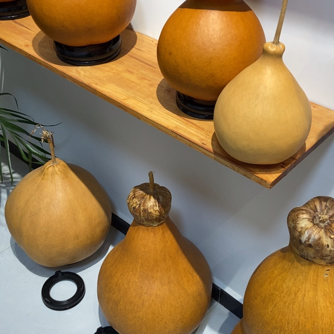 *****哈哈哈哈哈哈哈哈哈