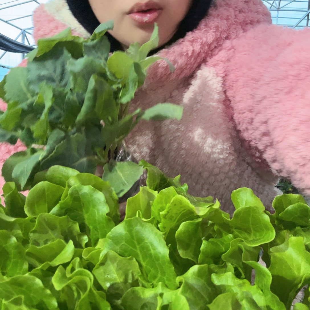 菜苗鸡腿芥蓝，花菜