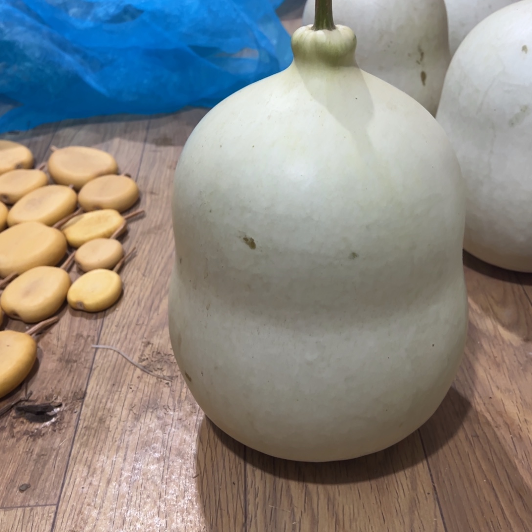 木124546765644646454