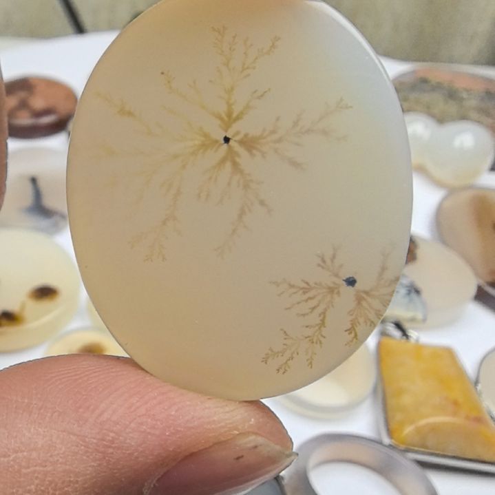 非金属时尚饰品22