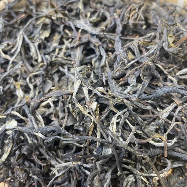 2024年 黄草林古树 散茶