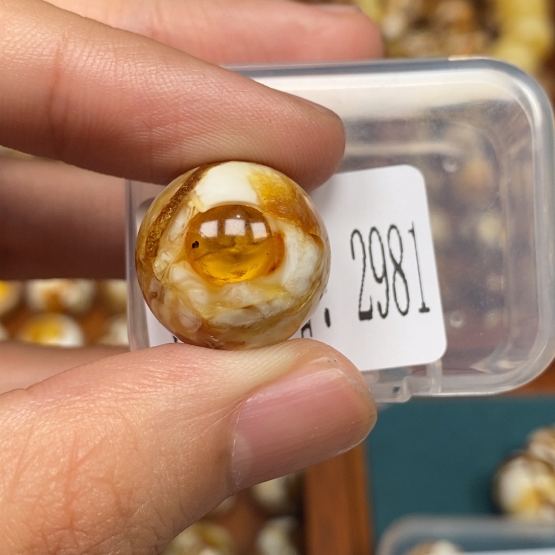 沁色蜜蜡未镶嵌2981