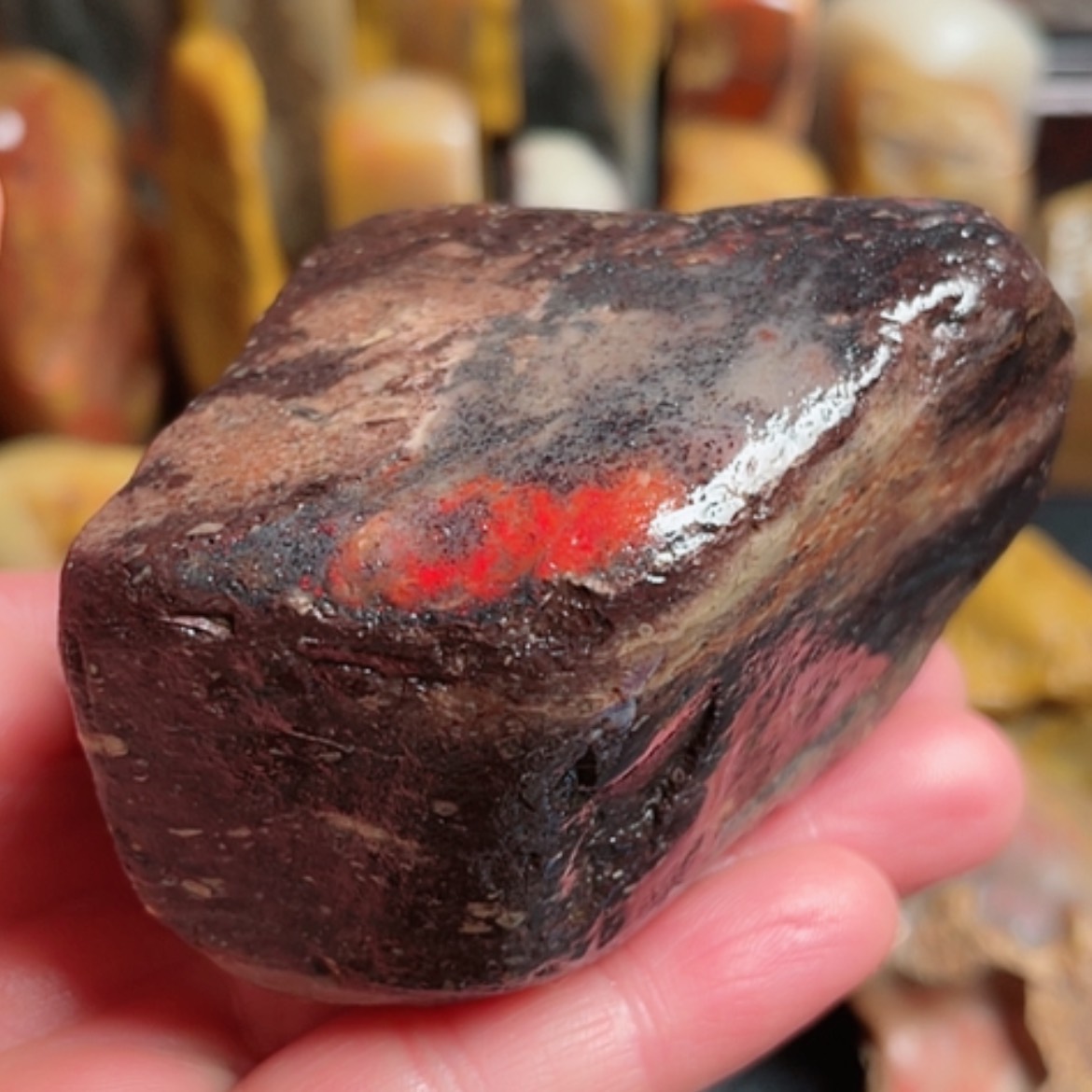 【闪购商品】昌化石昌化鸡血石原石