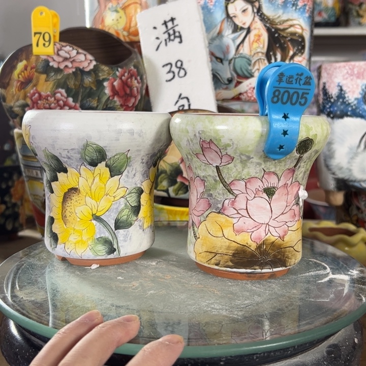 景德镇幸运花盆小号直播间