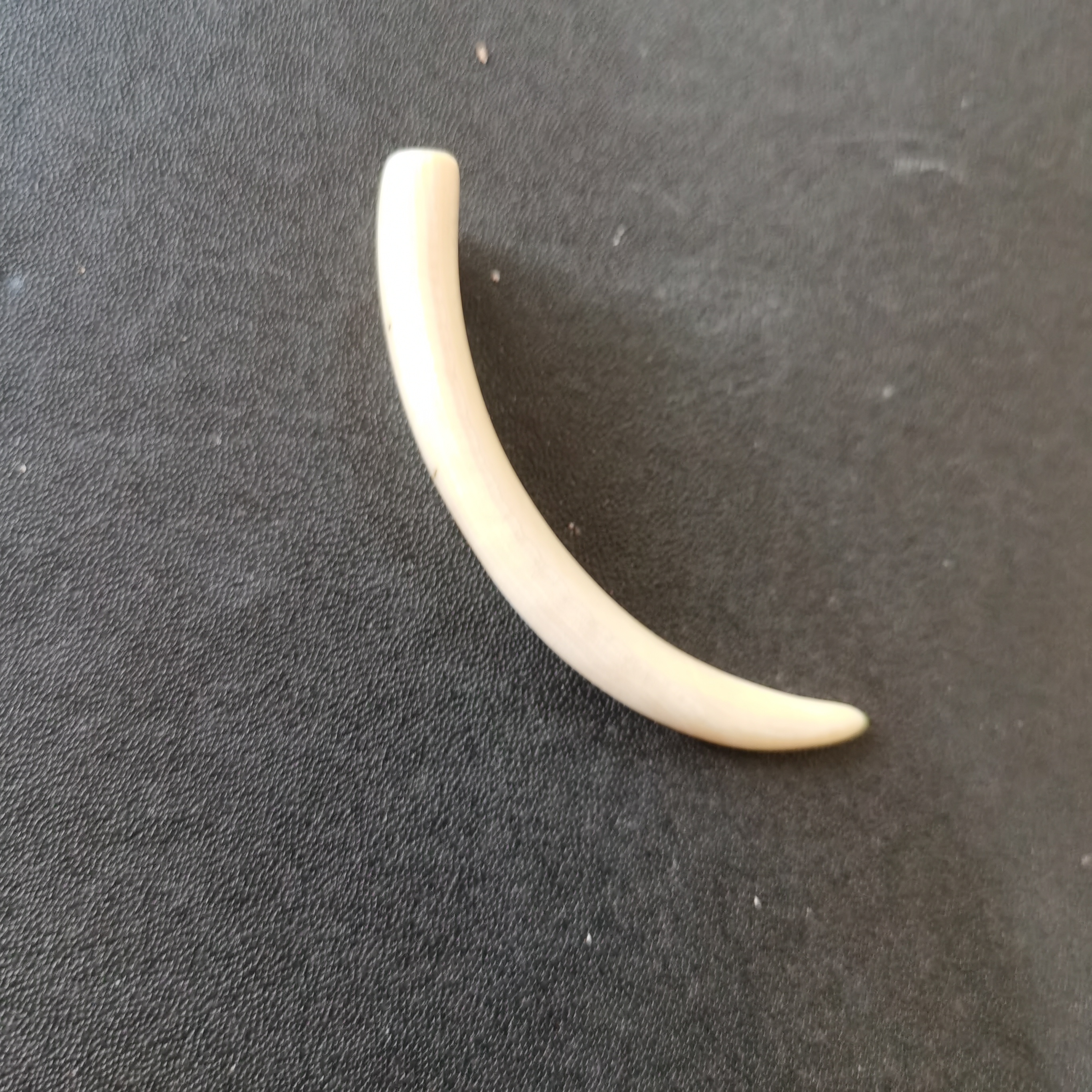 猛犸雕刻牙尖kk404