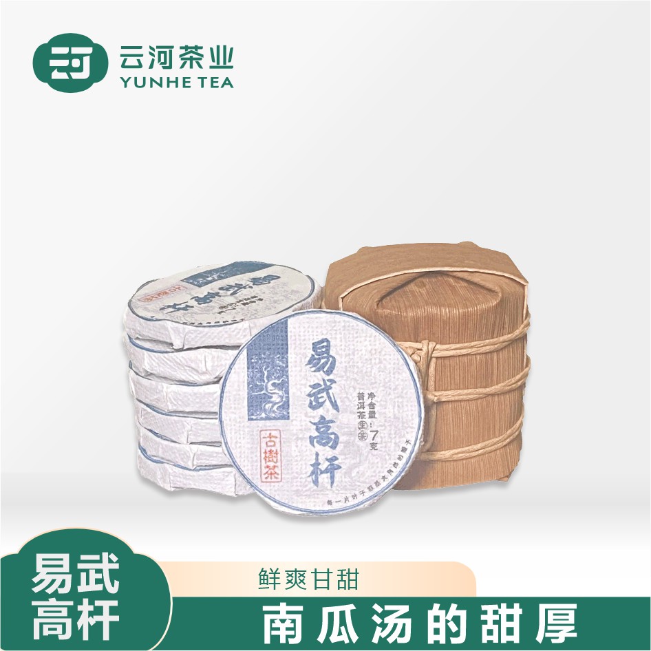 【周末新品】高货  2024年易武高杆古树茶 普洱茶生茶 49克*1筒