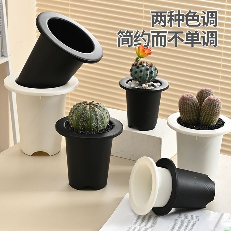 日系万年青圆口花盆多肉植物十二卷景天兰花绿植玉露玉扇万象大棚