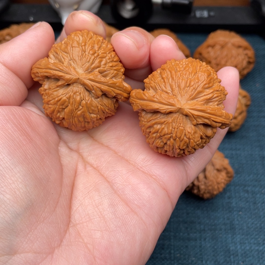 把件文玩核桃全品43爆肉白狮子红皮