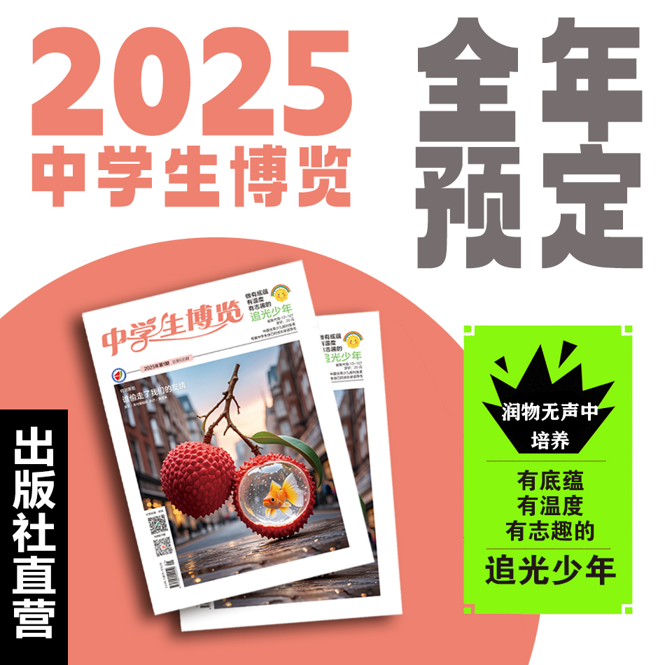 2025年中学生博览，青年文摘杂志精选文学励志期刊课外阅读书籍