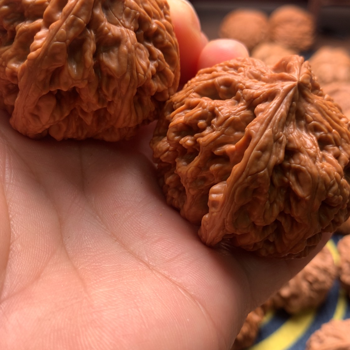 【闪购商品】把件文玩核桃子*粗筋46