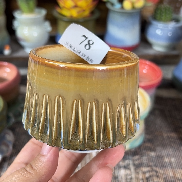 口6 未满30元运费到付