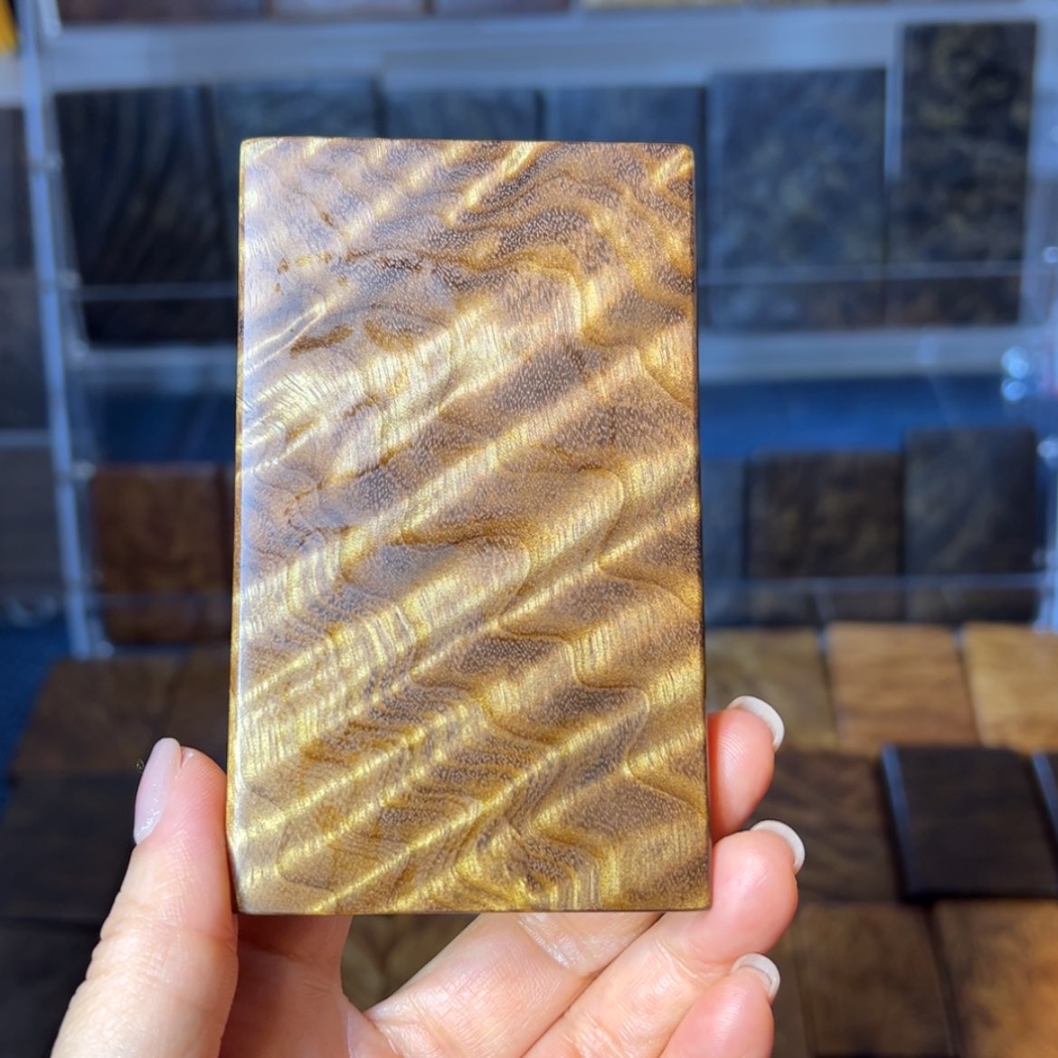 【闪购商品】金丝楠三***猫枯木料水波